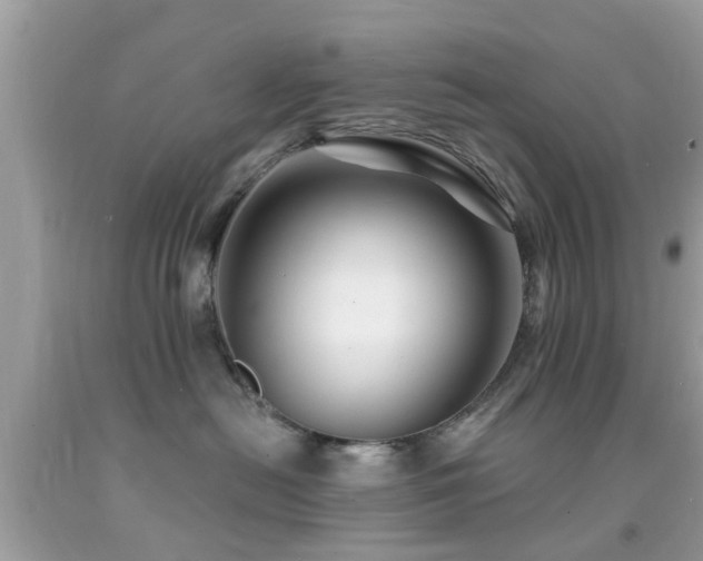 X0000092080478200709121448