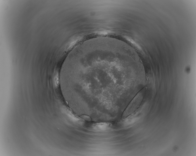 X0000092080479200709121448