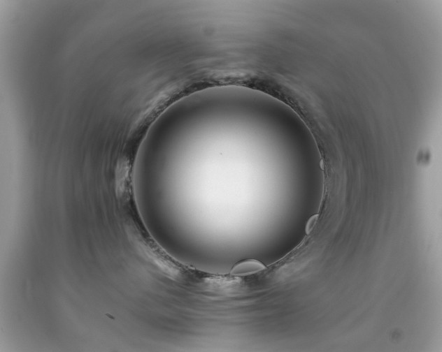 X0000092080480200709121448