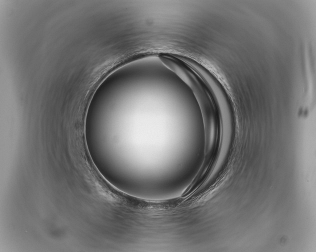 X0000092080481200709121447