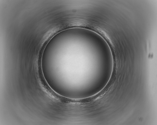 X0000092080482200709121447