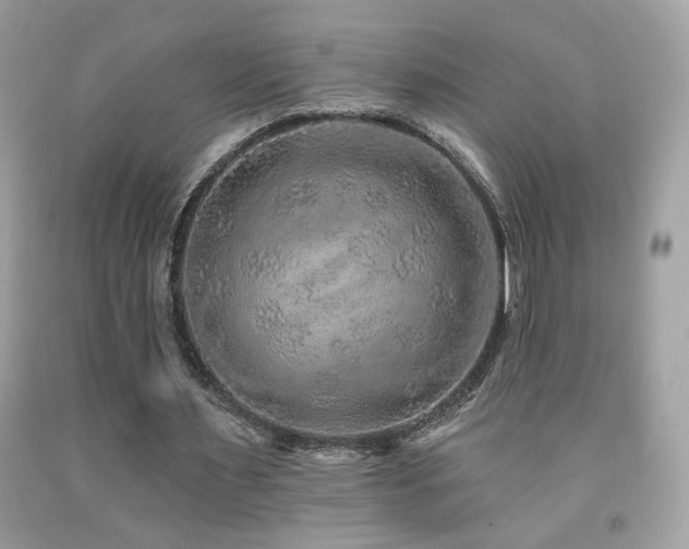 X0000092080483200709121447