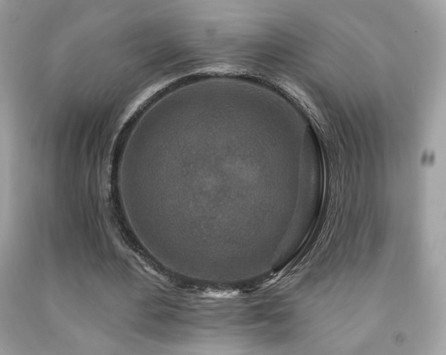 X0000092080484200709121447