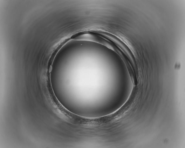X0000092080485200709121447