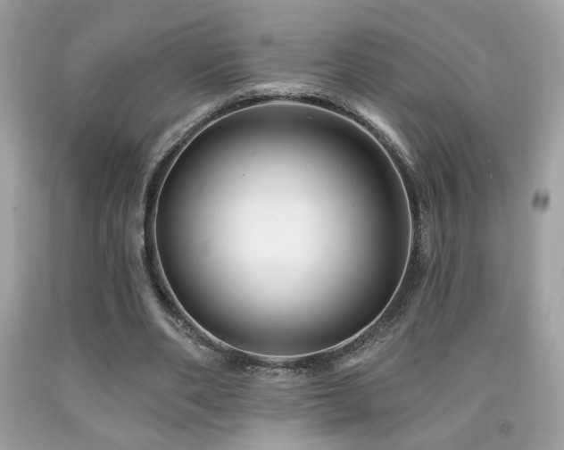 X0000092080486200709121447