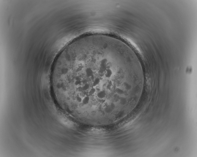 X0000092080487200709121447
