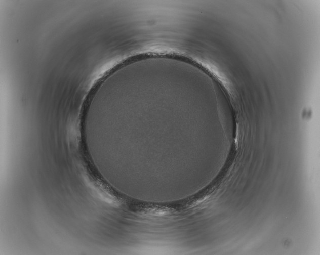 X0000092080488200709121447