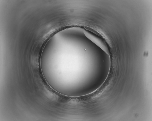 X0000092080489200709121447
