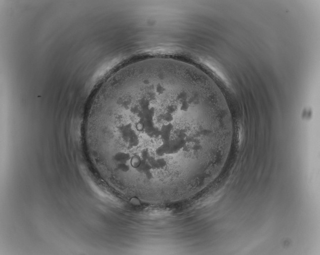 X0000092080491200709121447