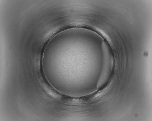 X0000092080493200709121447