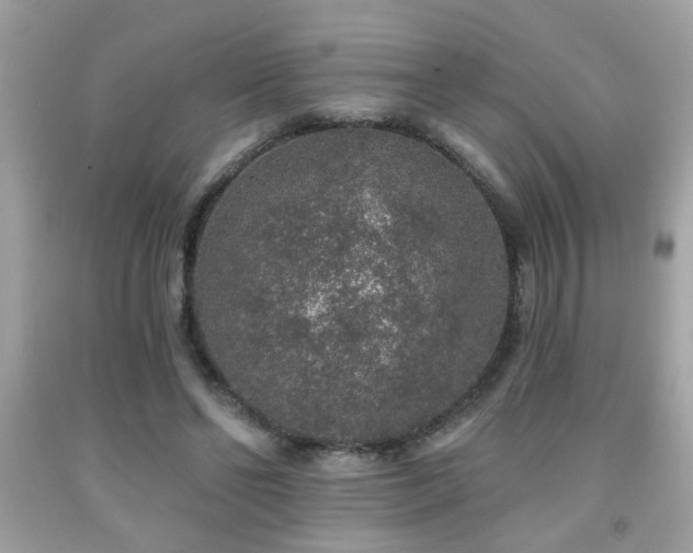 X0000092080494200709121447