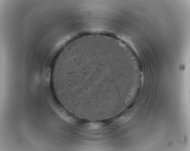 X0000092080495200709121447