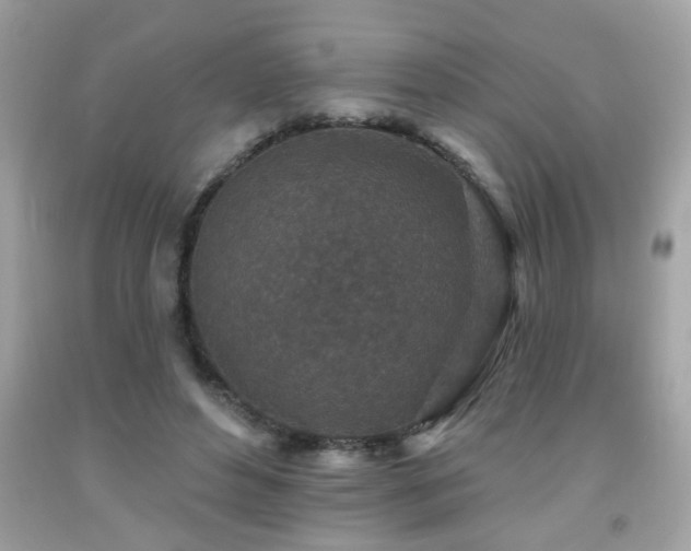 X0000092080496200709121447