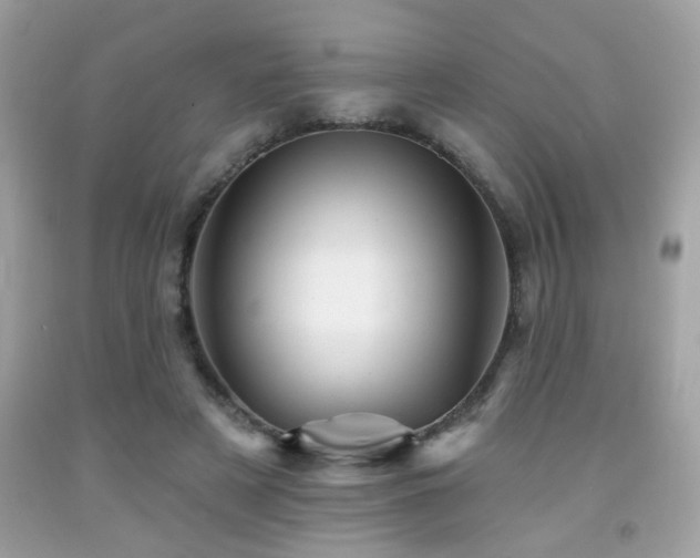 X0000092080497200709121447