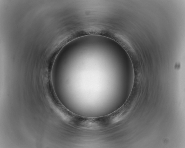 X0000092080498200709121447