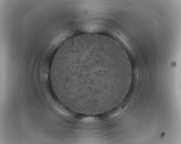 X0000092080499200709121447