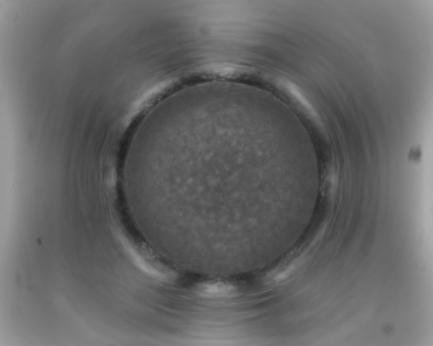 X0000092080500200709121447