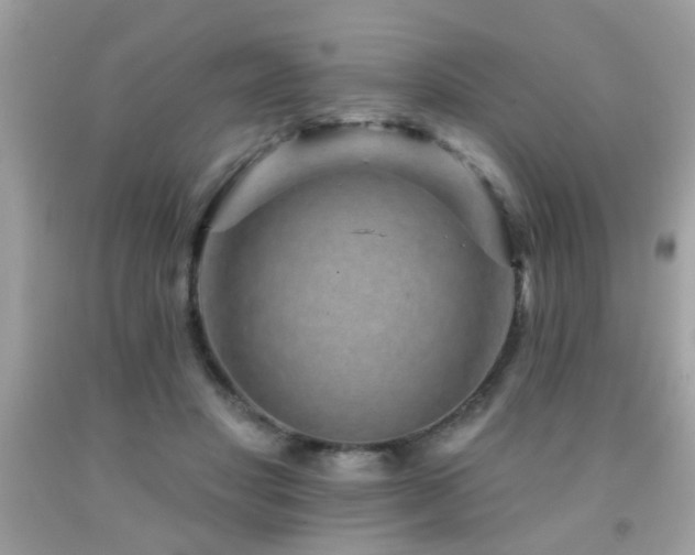 X0000092080501200709121447