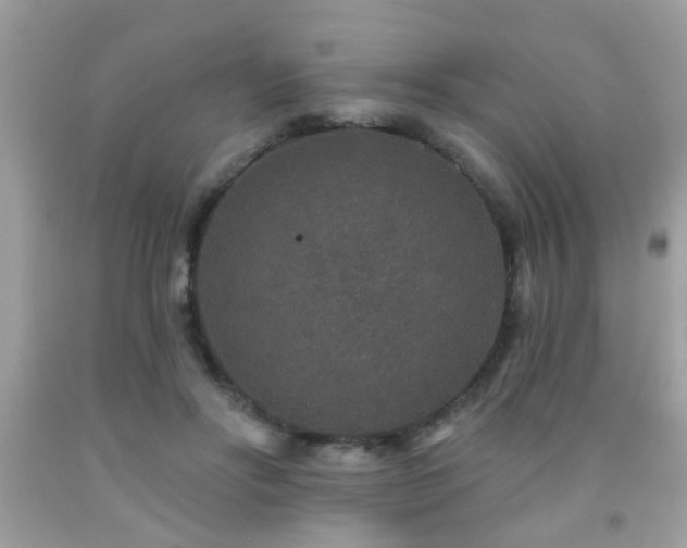 X0000092080502200709121447