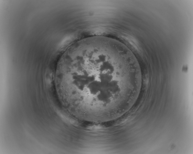 X0000092080503200709121447