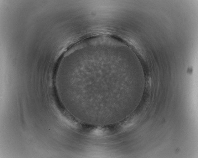 X0000092080504200709121447
