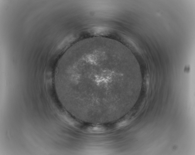 X0000092080506200709121447