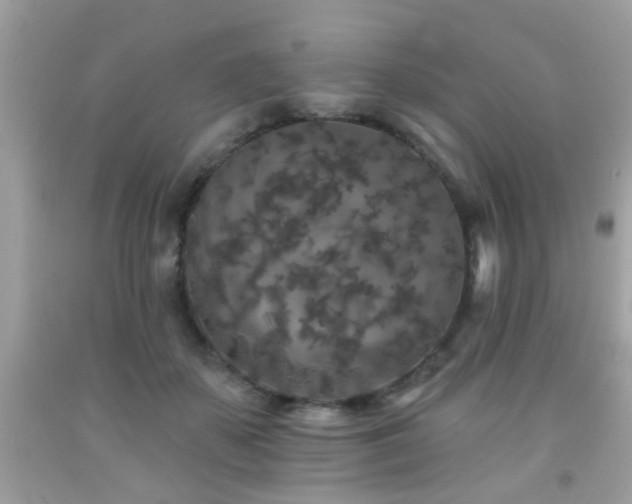 X0000092080507200709121447