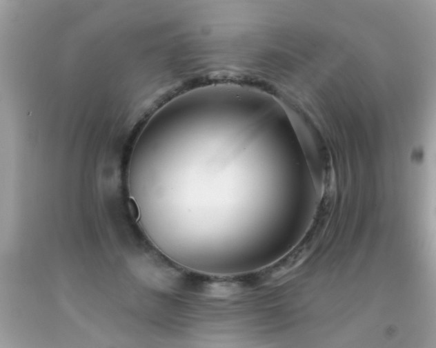 X0000092080508200709121447