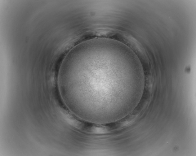 X0000092080510200709121447