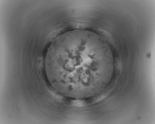 X0000092080511200709121447