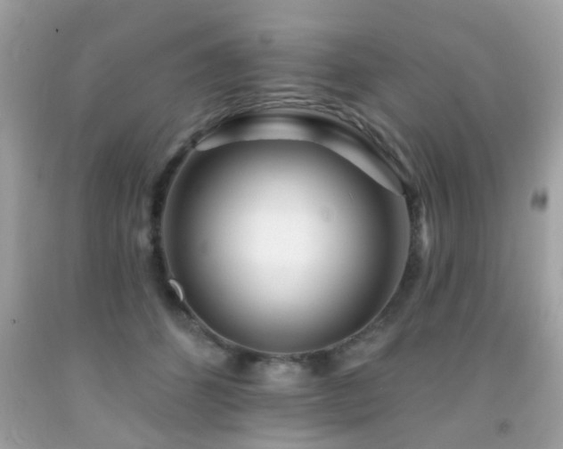 X0000092080512200709121447