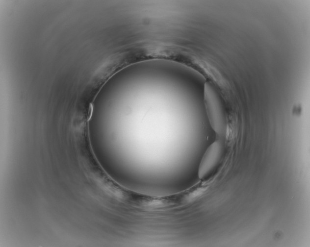X0000092080513200709121447