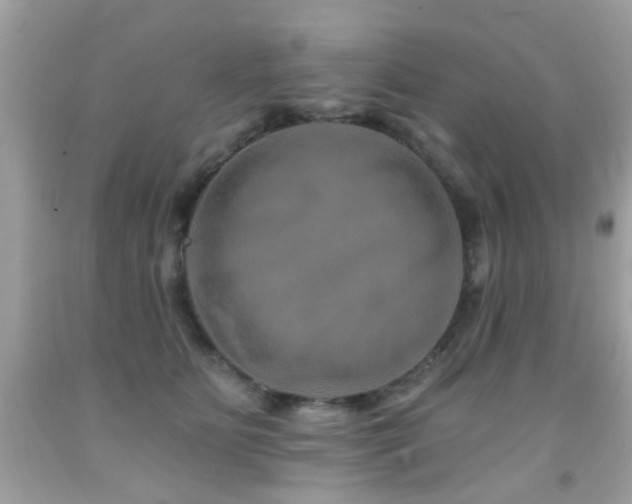 X0000092080515200709121447