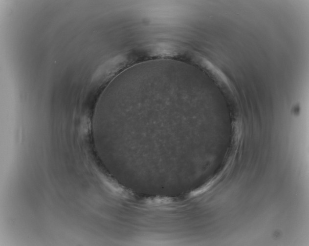 X0000092080517200709121447