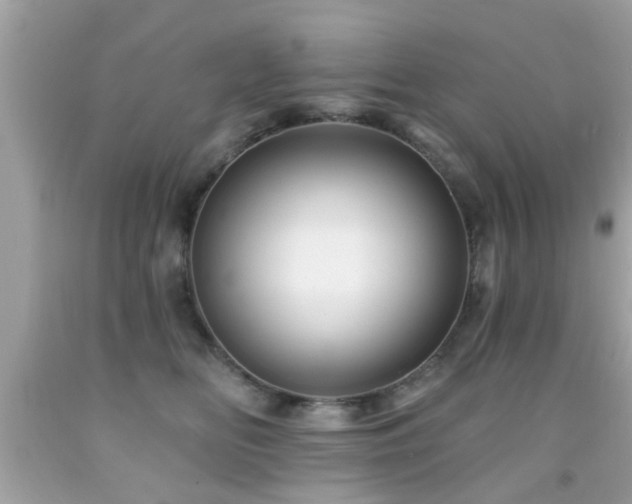 X0000092080518200709121447
