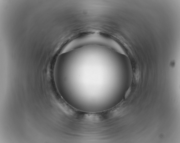 X0000092080520200709121447