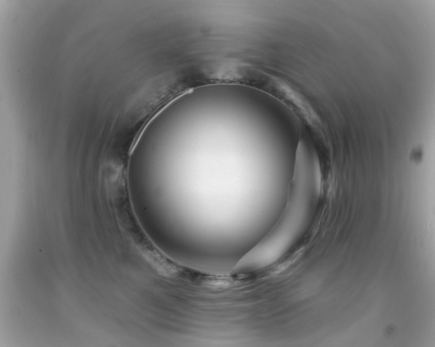 X0000092080521200709121447