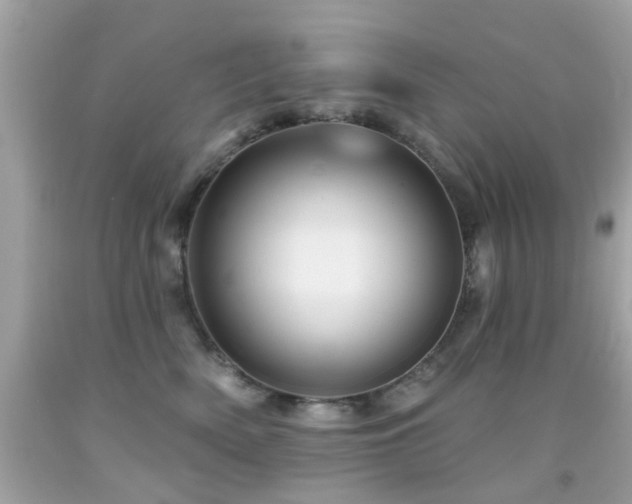 X0000092080522200709121447