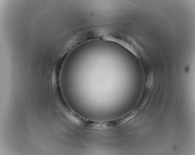 X0000092080524200709121447