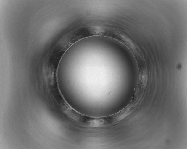 X0000092080525200709121447
