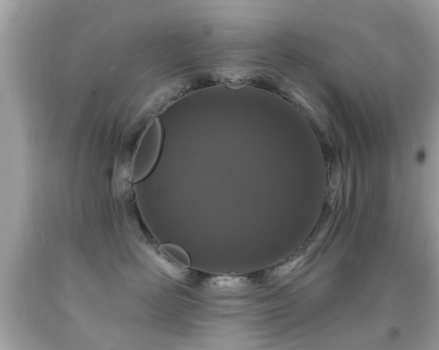 X0000092080526200709121447