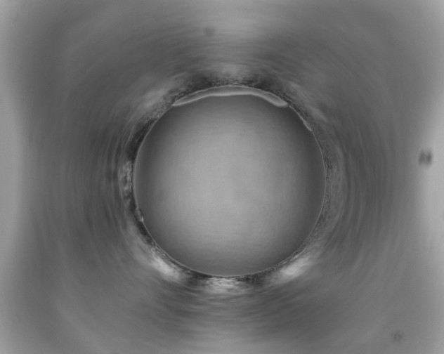 X0000092080528200709121447