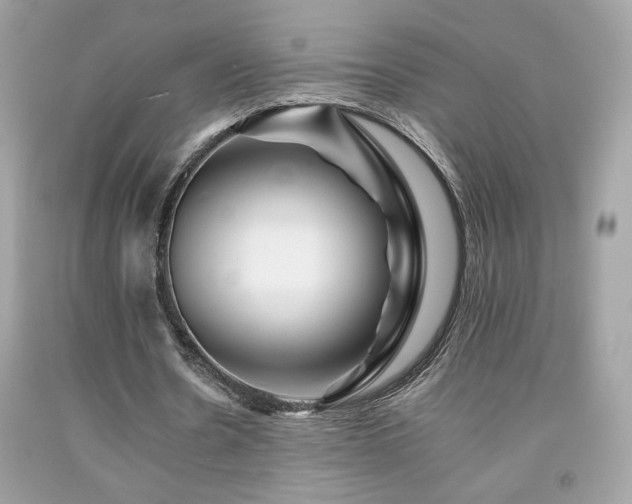 X0000092080530200709121446