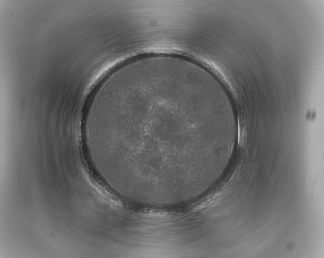 X0000092080531200709121446