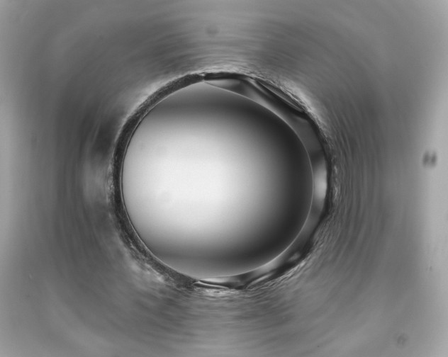 X0000092080532200709121446