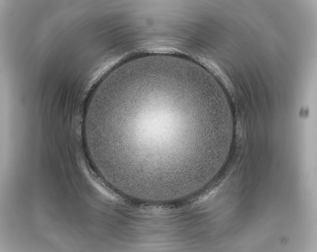 X0000092080533200709121446