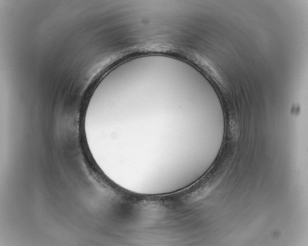 X0000092080534200709121446