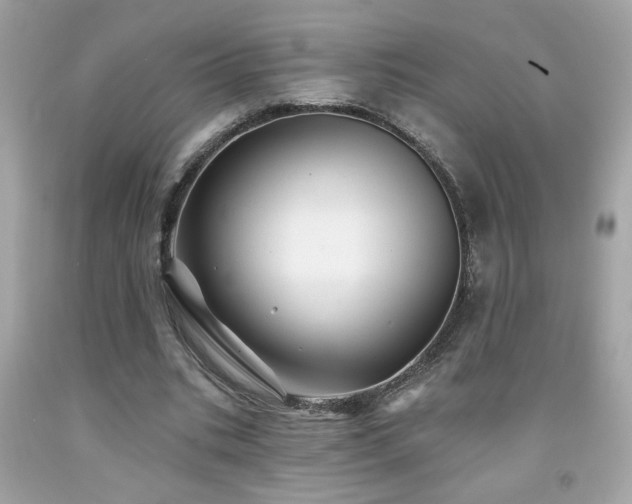 X0000092080535200709121446