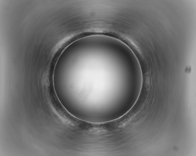 X0000092080536200709121446