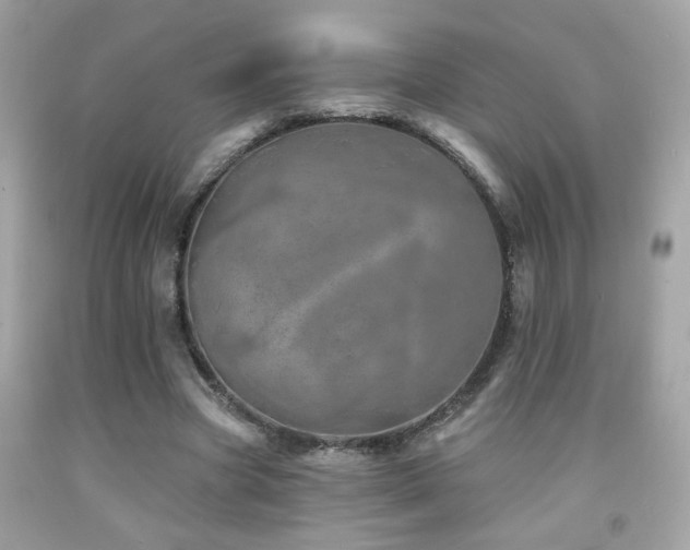 X0000092080537200709121446